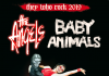 The Angels - Baby Animals tour